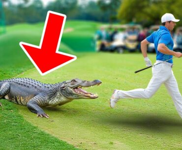 10 MOST TERRIFYING Animal Encounters Caught On The Golf Course