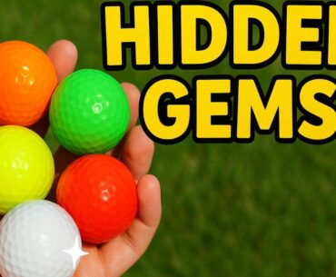 We Went Searching for Lost Golf Balls
