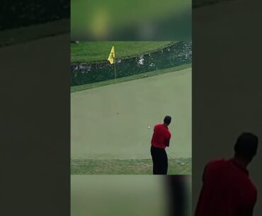 #creed #tigerwoods #golfbestshots #golfing