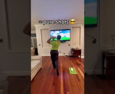 You need this indoor golf simulator!