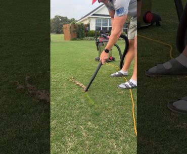 How To Have a Nice Lawn