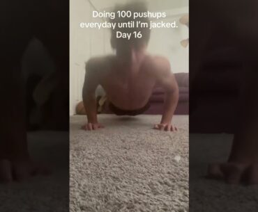 Doing 100 pushups everyday until I’m jacked: Day 16 💪🏻 #shorts #viral #pushups #motivation