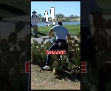 When Rory Met the Cactus… Twice✌️