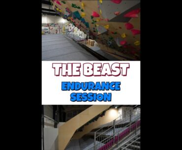Beast Endurance Training, 8a(v11) 10m long, 50 degree angle... How Many Reps Can I Do? 💪🧗‍♂️