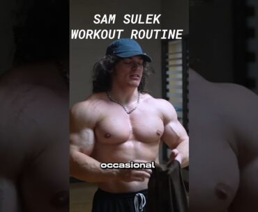 SAM SULEK WORKOUT ROUTINE | SPLITS #samsulek #samsulekworkout #samsulekshorts #workoutroutine