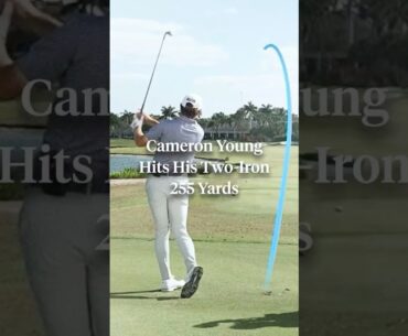 Cam Young’s ballstriking is a thing of beauty