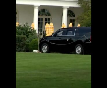 Trump heads for golf ⛳️  a day after his Friday Putin meeting