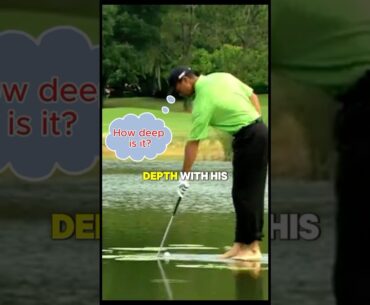 Tiger Woods Walks on Water?!🤔🤔