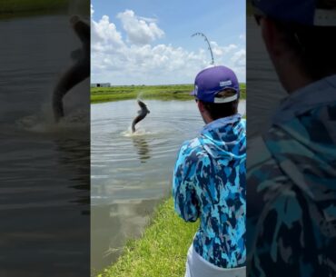 200lb Florida Pond Monster