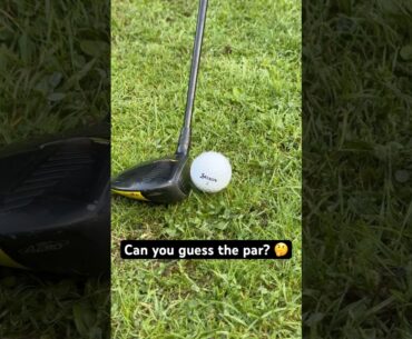 Can you guess the par? 🤔 #golf #golfswing #asmr #nature