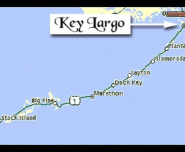FLORIDA - ST PATRICKS PARTY A KEY LARGO CELEBRATION
