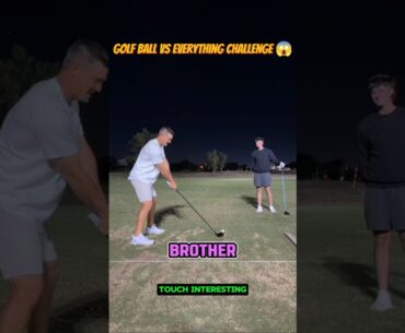 Golf Ball vs Everything Challenge 🤯🤠 ~working art skillwood / hand crafts #shortvideo #art #viral
