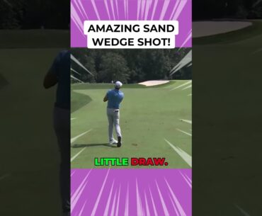 Amazing Sand Wedge Shot! Sam Burns PGA Precision 🎯 #shorts #golf #brysondechambeau #golfshorts