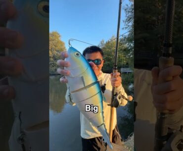 World’s Most REALISTIC But RIDICULOUS Bait EVER…