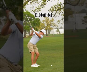 Ball flight goals. Nico Echavarria ladies & gentlemen.
