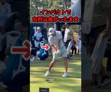 強烈な押し込み｜蝉川泰果