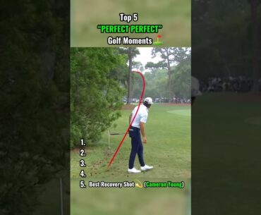 Six Second 200 yard hole in one😱 #golfshorts #golfswing #golflife #tigerwoods #holeinone