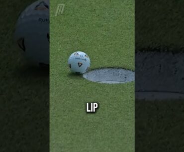 He Won $2 Million Thanks To A Fly 😵 (@pgatour)