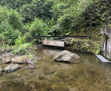 Lawsuit against Maui Land & Pineapple fuels debate over water supply and reveals The Sentry golf tournament is in jeopardy : Maui Now