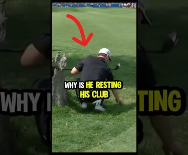 Branden Grace vs The Tree 🪵