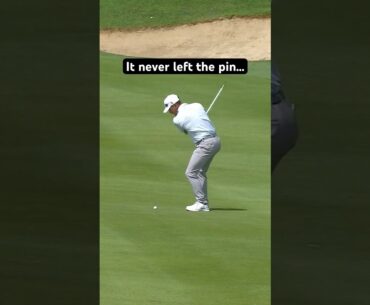 The accuracy on this shot is insane🤯