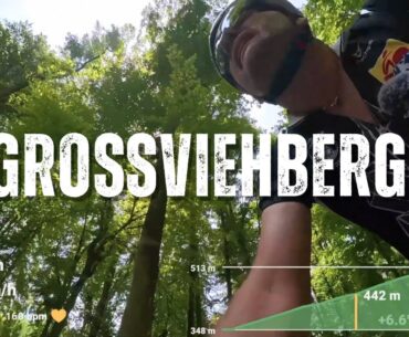 Die steilsten Anstiege im fränkischen Umland #2 - Großviehberg - Rennradtour mit insta360 🇩🇪