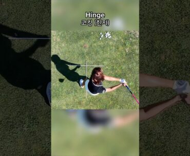 New angle could help you hit your driver straighter and longer.신선한 각도에서 보면 드라이버가 더 똑바로, 멀리 나갈까요? 👀