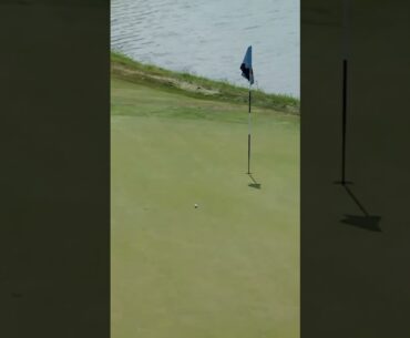 Patrick Reed makes an unbelievable Eagle ⛳️🦅