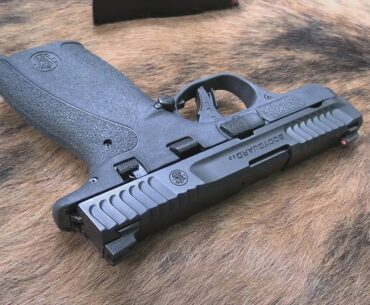 S&W Bodyguard 2.0  in .380