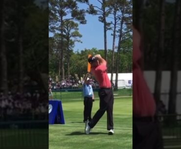 Grayson Murray Golf Swing