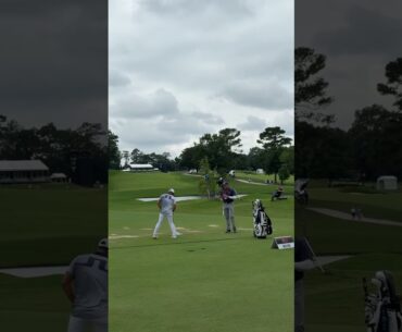 Victor Hovland golf swing #golf