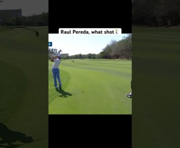 Raul Pereda's way to hole out from long