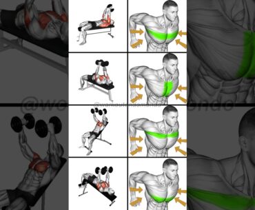 Build a Powerful Chest: Best Dumbbell Chest Workouts for Massive Gains!