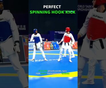CJ PERFECT SPINNING HOOK KICK
