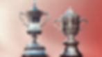 The New Zealand teams are targetting the Espirito Santo and Eisenhower Torphies PHOTO: GOLF NZ