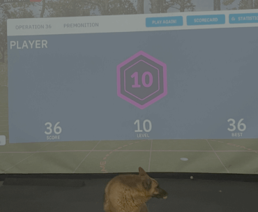 Finally Completed Premonition Operation 36!