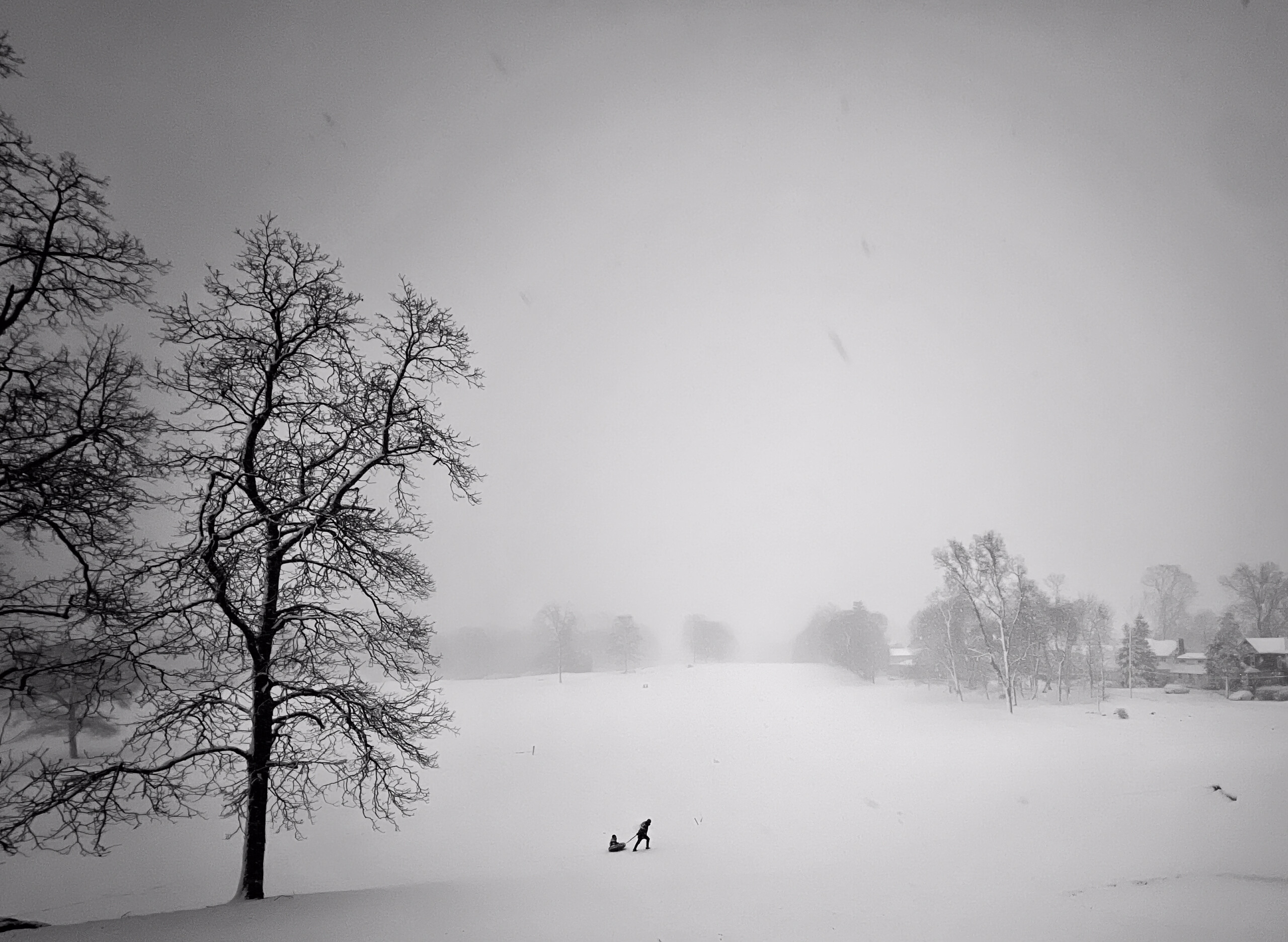 (PHOTO: Snow Day. Children run through the snowy landscape in search of fun. By Stacey Massey, author of Fall in Love with Rye.)