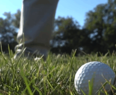Who is responsible when a golf ball hits a car? | News