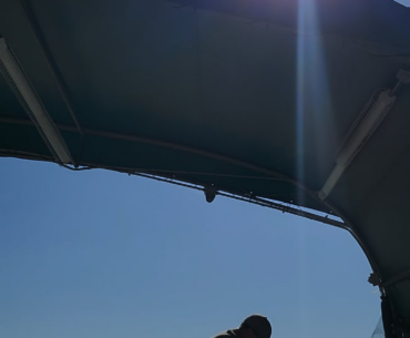 Falling forward video