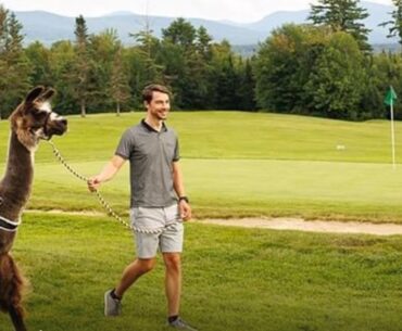 Llama caddies: The unique golf experience you didn’t know you needed