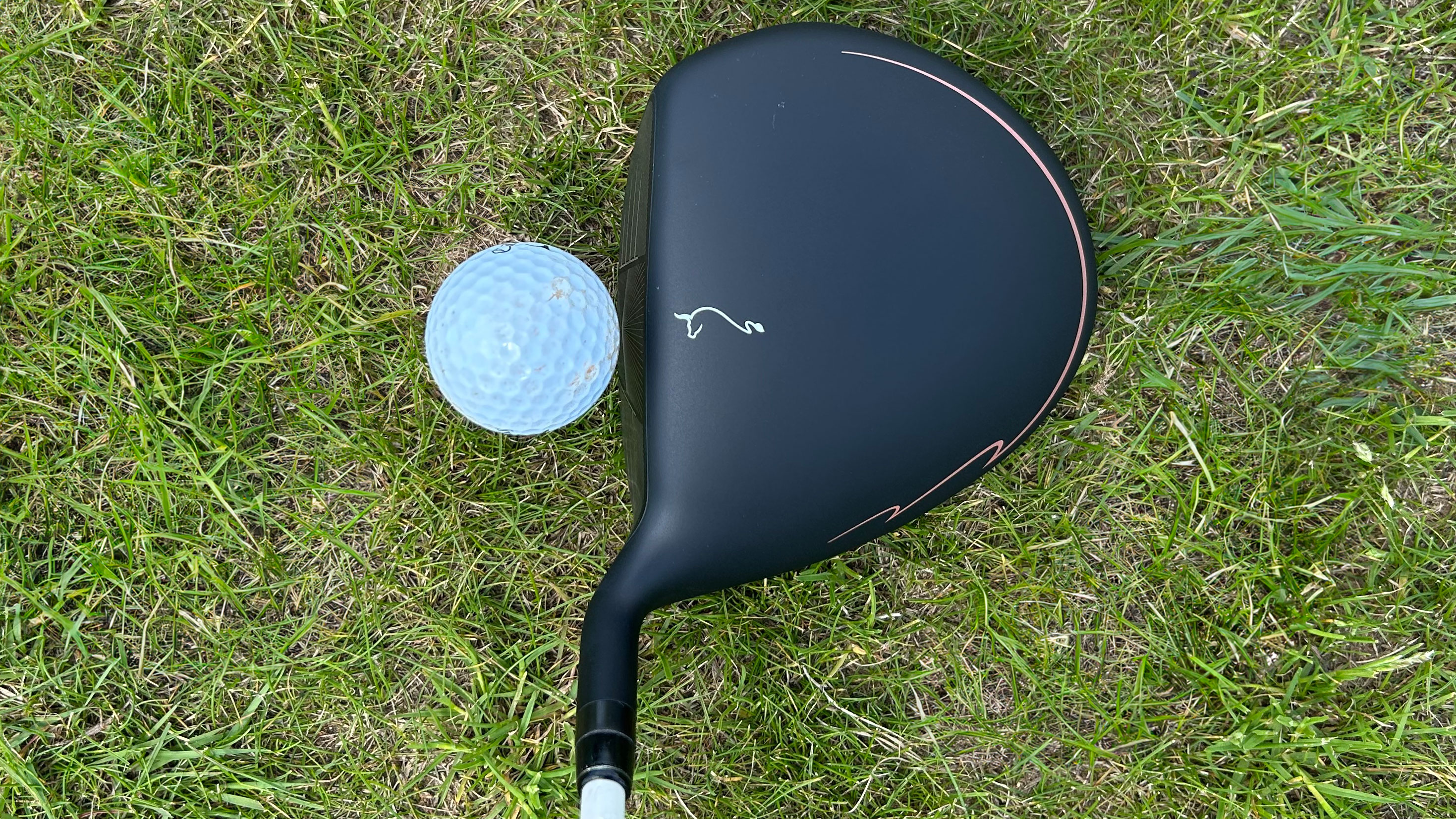 Photo of the Oximity driver in behind the ball