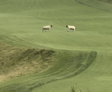 Nature is Metal: Golf Course Edition