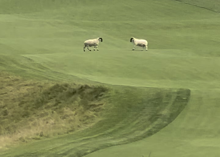 Nature is Metal: Golf Course Edition