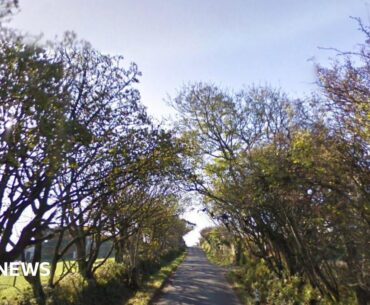 Ballacutchel Road is a narrow country road with lots of trees on either side.