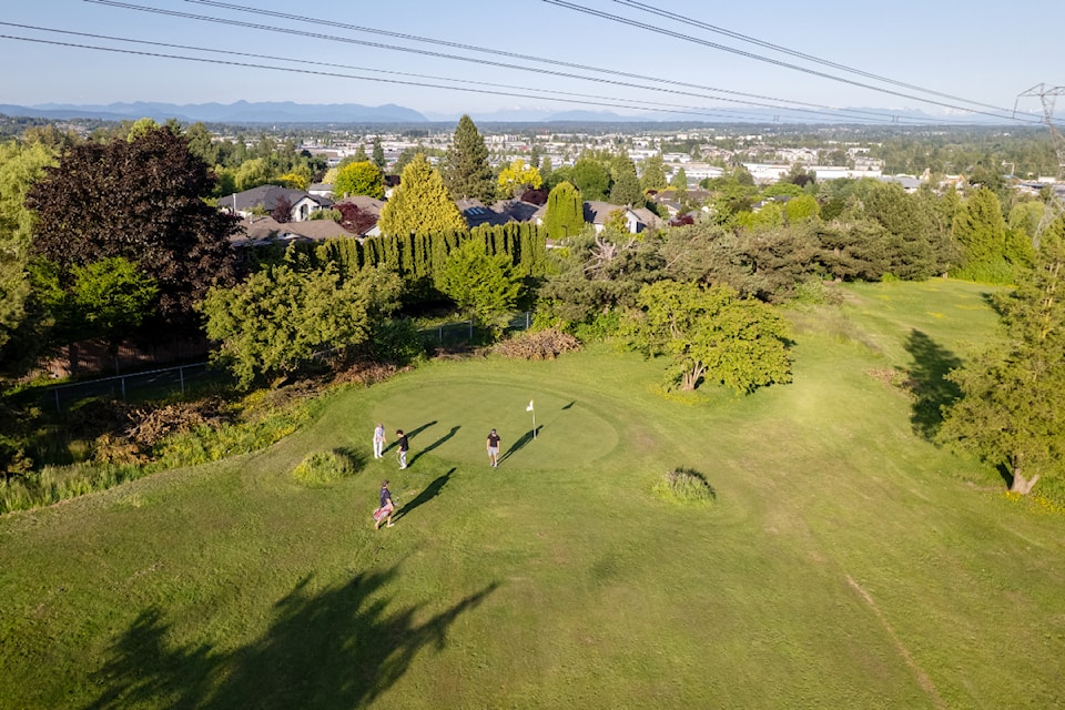 aug4-thebackyardgolf-greenss