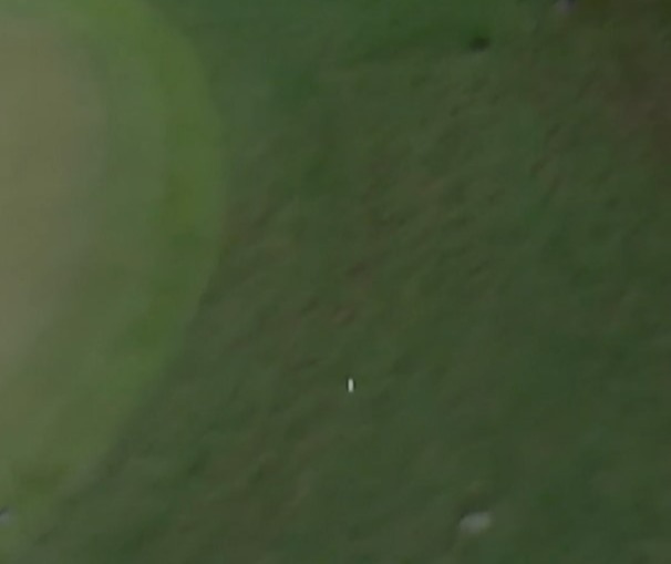But his shot sailed way beyond the green, before ricocheting off the grandstand and back towards the hole