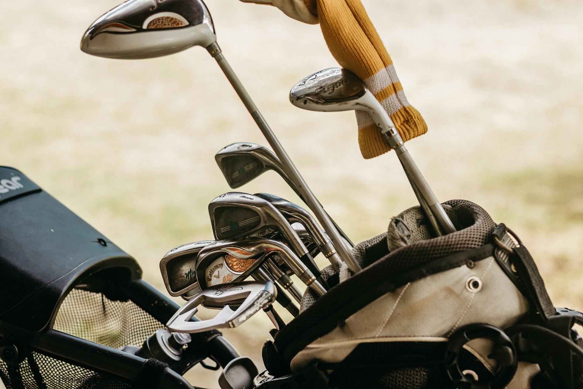 Golf clubs in a golf bag
