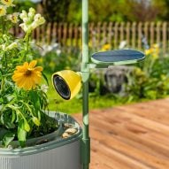 Photo of the Petal camera attached to the Wonder Blocks planter trellis overlooking some flowers
