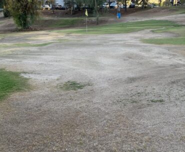 Worst green I’ve seen in person
