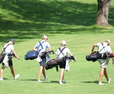 Pine to Palm Day 2 begins with shotgun start, Mid-Am and Championship golfers speed through rounds - Detroit Lakes Tribune